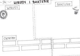 Wirusy i bakterie (karta pracy)