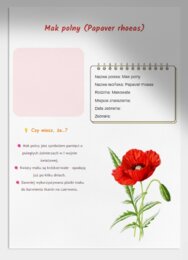 Zielnik / Album. Zasuszone rośliny. Ciekawostki.