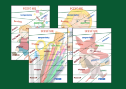 POWRÓT DO SZKOŁY - szkoła - ortografia - puzzle - 4 wersje
