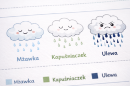 Karta pracy: Rozpoznaj rodzaje deszczu