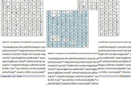Skrzydlate wyzwanie- gotowa wykreślanka o owadach dla klasy 6