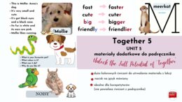 Together 5, unit 5, dodatkowe materiały do podręcznika, NO-PREP, stopniowanie przymiotników