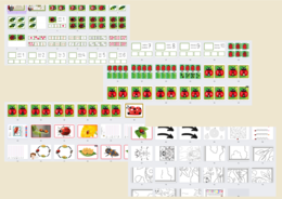 Biedronkowy zawrót głowy