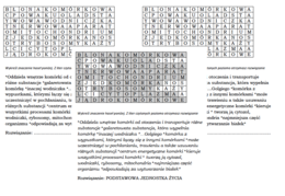 Wykreślanka dla klasy 5 na podsumowanie lekcji o komórce zwierzęcej