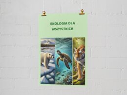 Plakaty. Pojęcia ekologiczne (łańcuch pokarmowy, obieg wody, cykl węglowy). Sposoby ochrony środowiska. Wpływ człowieka na środowisko
