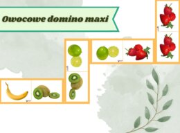 Owocowe domino w wersji maxi