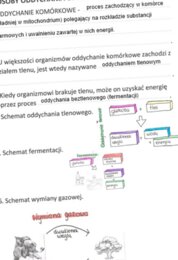 Sposoby oddychania organizmów (KP 2 uzupełniona)