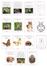 Zwierzęta zapadające w sen zimowy