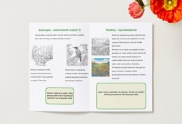 Kolorowanki. Ekolog w terenie. Zwierzęta. Rośliny. Krajobrazy