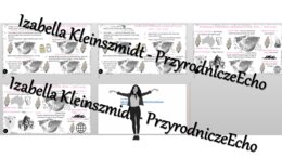 Minizestaw na temat „Pierwsze podróże geograficzne”– sketchnotka + karta pracy w power point + gratisowy link do prezentacji multimedialnej niekomercyjnej wykonanej w genial.ly do indywidualnego pobrania i użycia do celów niekomercyjnych. Geografia klasa