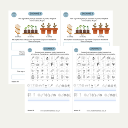 WIOSENNE STACJE ZADANIOWE dla 3 klasy