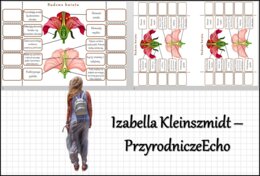 Notatka okienkowa „Budowa kwiatu”, „Okrytonasienne” w pdf. Biologia 5 dział „Różnorodność roślin”.