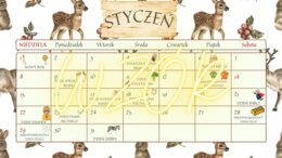 Kalendarz noworoczny, Nowy Rok, Samorząd Szkolny, Samorząd Uczniowski, dekoracje