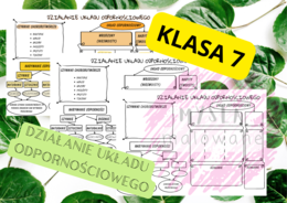 Biologia 7. Działanie układu odpornościowego. Plakat + sketchnotka+ karta pracy