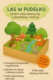 Las w pudełku