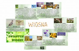 Wiosna, zwiastuny wiosny - gazetka