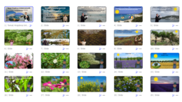 Prezentacja „Krajobraz śródziemnomorski” w genially do edycji – geografia 5