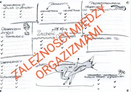 RELACJE MIĘDZY ORGANIZMAMI