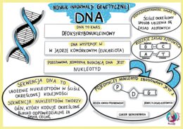 Nośnik informacji genetycznej - DNA - sketchnotka - klasa 8