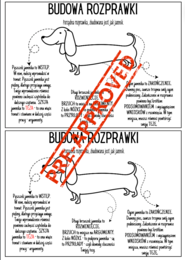 ROZPRAWKA - wprowadzenie i ćwiczenia