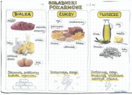 Składniki pokarmowe - białka, cukry, tłuszcze - kolor