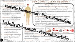 Sketchnotka - notatka „Obwodowy układ nerwowy. Odruchy” wykonana w power point do edycji. Biologia 7; „Regulacja nerwowo-hormonalna