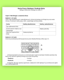Budowa i funkcje liści ( karta pracy)