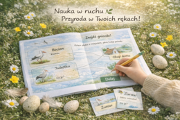 Powrót ptaków – mini e-book przyrodniczy