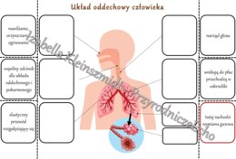 Notatka okienkowa „Budowa układu oddechowego”. Przyroda 4 / Biologia 7. „Układ oddechowy”, „Układ oddechowy zapewnia wymianę gazową”
