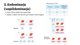 Genetyka klasyczna 4 KLASA ROZSZERZENIE