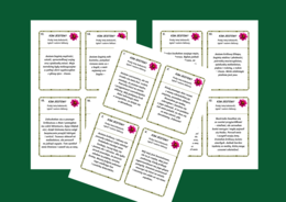 BOHATERKI LEKTUR 4-6 – KIM JESTEM? fiszki – 22 szt. – Dzień Kobiet – egzamin – powtórka + odpowiedzi