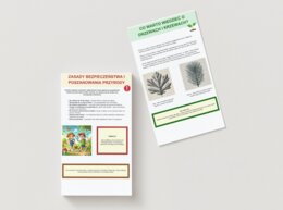 Zabawa w tropienie śladów. Szukanie w okolicy śladów przyrody