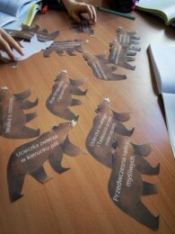 Pan Tadeusz - Polowanie - niedźwiedź - plan wydarzeń - zadania