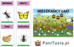 Mieszkańcy łąki - plakat + zwierzęta i rośliny PAKIET