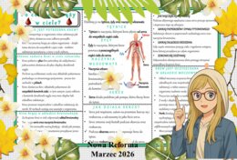 Sketchnotka/notatka - dla ucznia i przypomnienie dla nauczyciela w pdf. Temat "Po co krew krąży w ciele?". Przyroda 4. "Odkrywam przyrodę" zgodna z wydawnictwem Nowa Era. Dział "Jak działa moje ciało?".