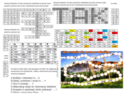 Zestaw 5 pomocy na podsumowanie lekcji przyrody z działu 1 "Tajemnic przyrody"