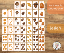 Kodowanie podłogowe - jesień