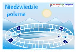 Niedźwiedzie polarne – gra planszowa