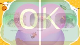 Dzień Pszczół: Wielka Edukacyjna Wyprawa do Ula (52 slajdy)