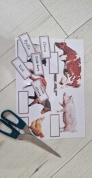 Produkcja zwierzęca w Polsce/do zalaminowana/układanka/puzzle/rozmieszczenie chowu w Polsce/rozpoznawanie gatunków w pdf. „Produkcja zwierzęca”. Geografia 7 "Rolnictwo i przemysł Polski"