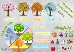 💚 PAKIET PORY ROKU 💚