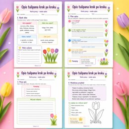 Opis tulipana krok po kroku