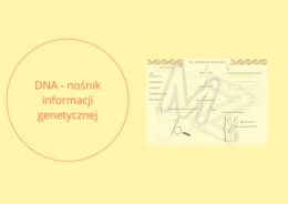 DNA - nośnik informacji genetycznej - KARTA PRACY