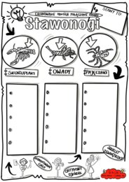 Klasa 6. BIologia. Karta pracy. Stawonogi (karta pracy do uzupełnienia)