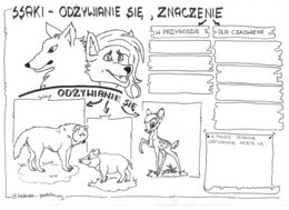 Ssaki - klasa 6 - karta pracy cz.3