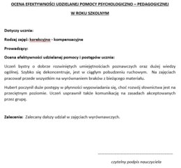 Ocena efektywności udzielanej pomocy PPP