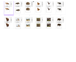 Montessori 3 part cards- forest animals