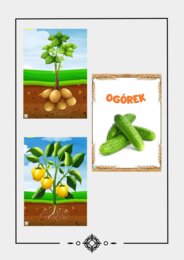 JESIENNE WARZYWA I OWOCE. PLANSZE I KOLOROWANKI.