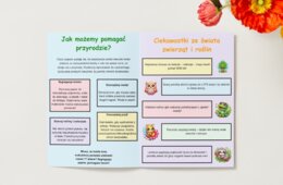 Ekologia. Wprowadzenie do tematu. Kim jest ekolog? Jak dbać o środowisko? Ciekawostki. Zadania