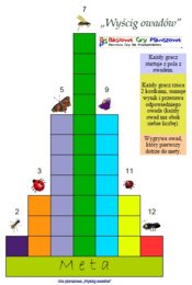 Wyścig owadów – Gra planszowa